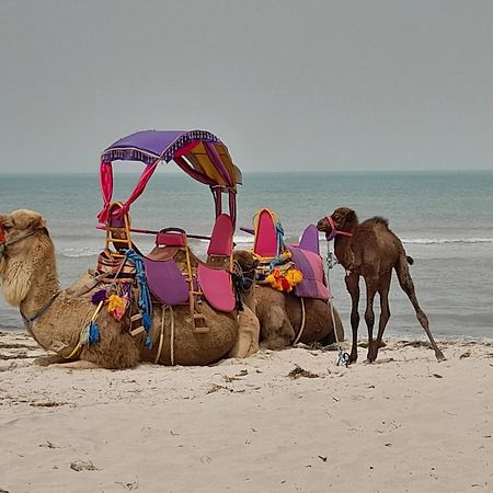ホテル Dar El Kahina Djerba メズライア エクステリア 写真