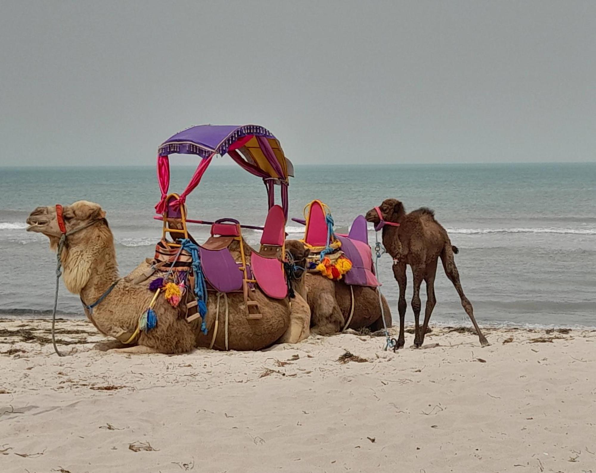 ホテル Dar El Kahina Djerba メズライア エクステリア 写真