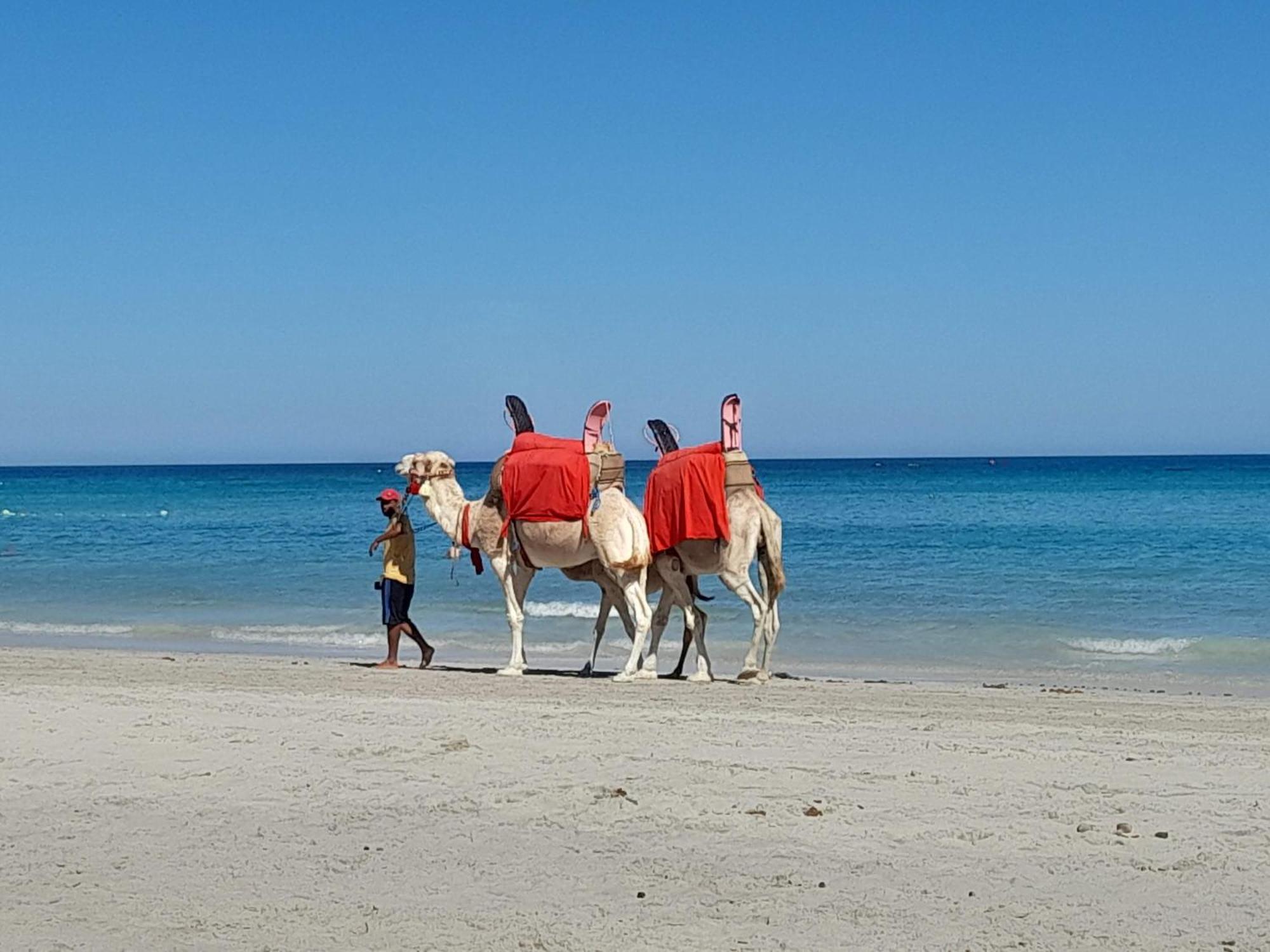 ホテル Dar El Kahina Djerba メズライア エクステリア 写真